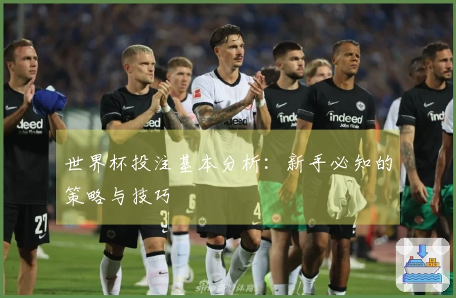 世界杯投注基本分析：新手必知的策略与技巧