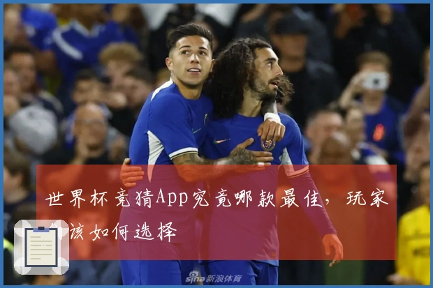 世界杯竞猜App究竟哪款最佳，玩家们该如何选择