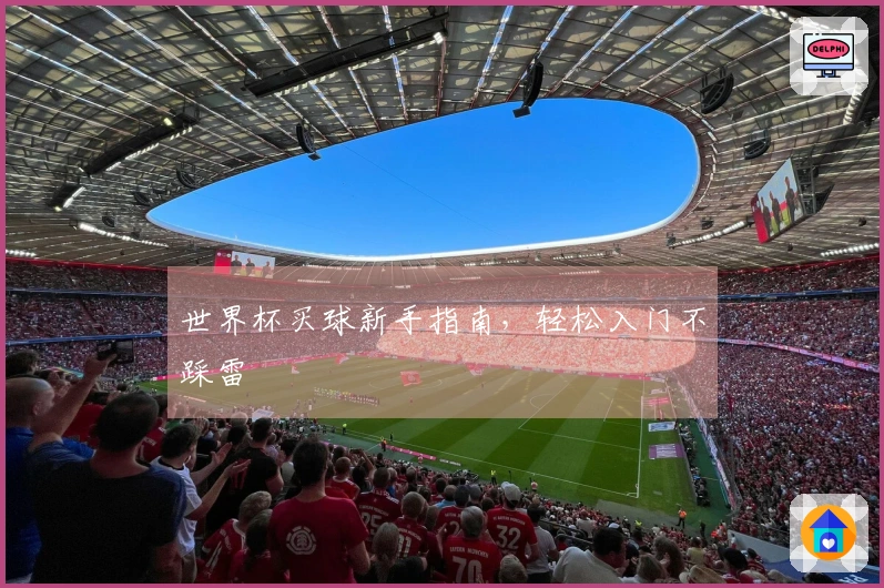 世界杯买球新手指南，轻松入门不踩雷