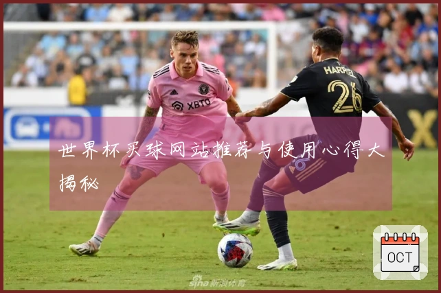 世界杯买球网站推荐与使用心得大揭秘