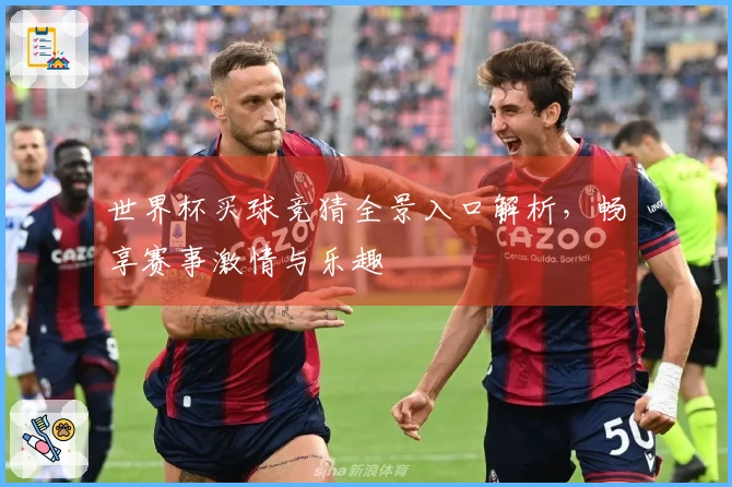世界杯买球竞猜全景入口解析，畅享赛事激情与乐趣