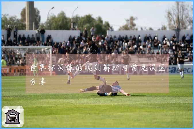 世界杯买球的规则解析与常见误区分享